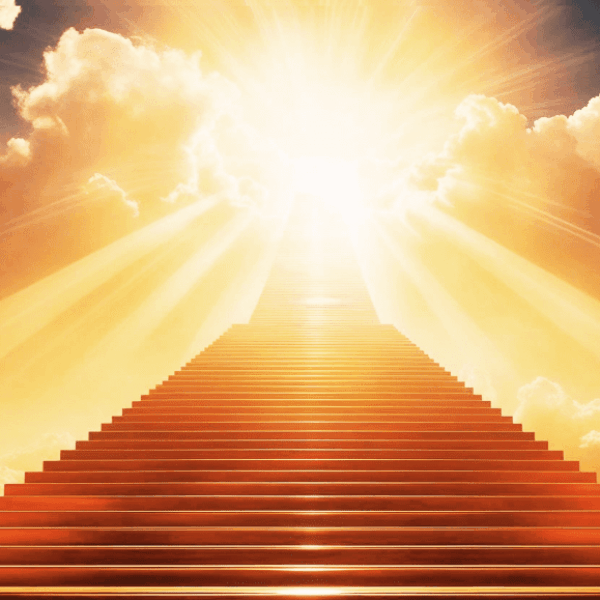 Pack de 5 voyages Étape 6