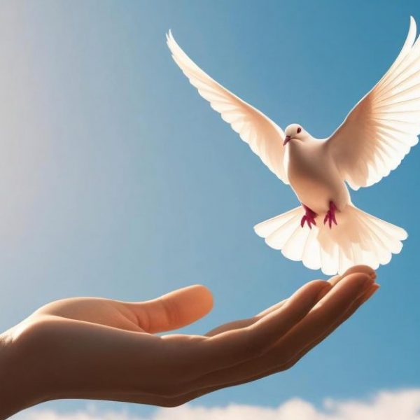 16. Voyage au cœur du détachement