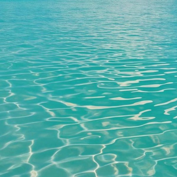 4. Voyage au cœur de l'eau